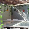 sukkah from the inside