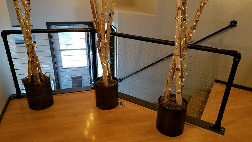 stair landing with plants