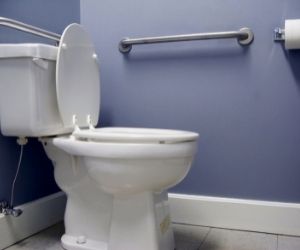 toilet with handrails